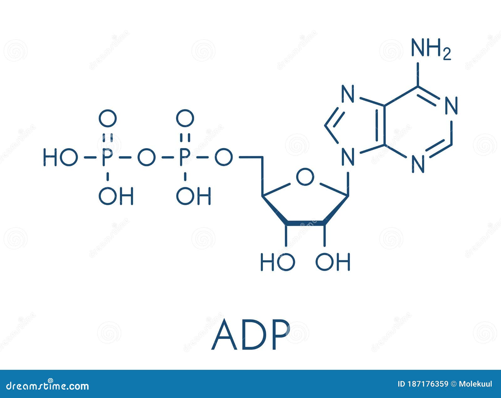 Adenosine Diphosphate Adp Molecule Plays Essential Role In Energy Use And Storage In The Cell Skeletal Formula Stock Vector Illustration Of Molecular Adenosine 187176359
