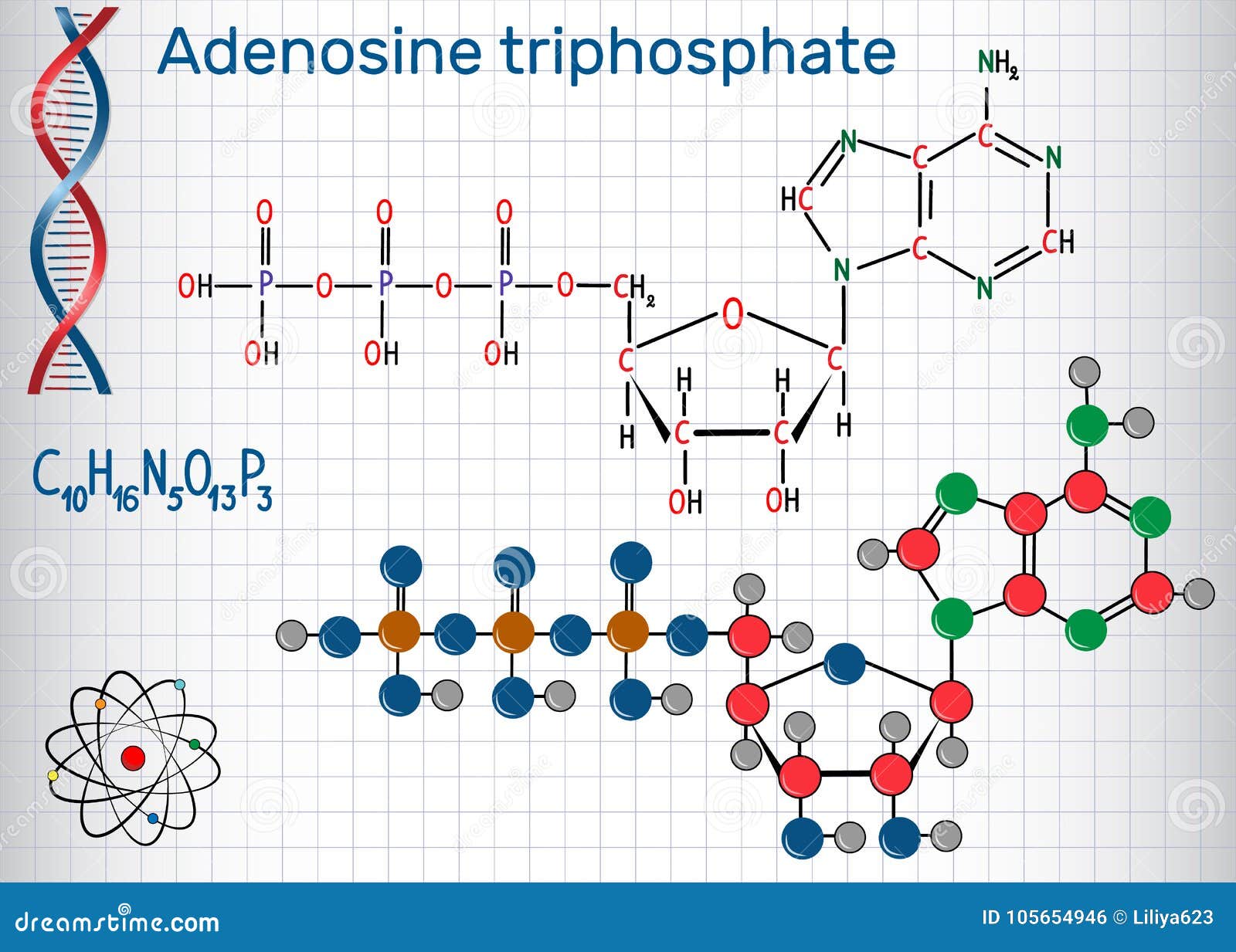 Adenosine triphosphate (atp) is a molecule that provides energy for cellular functions. label the three major components of an atp molecule.