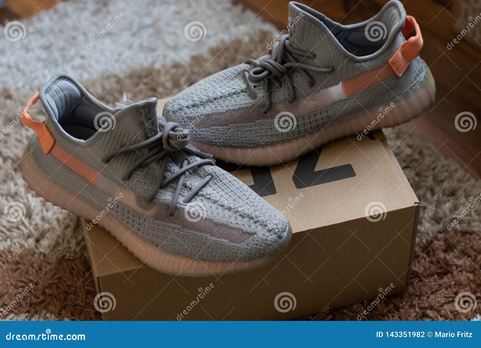 Adidas Yeezy Boost 350 V2 Trfrm True Form Standing on the 350 Carton