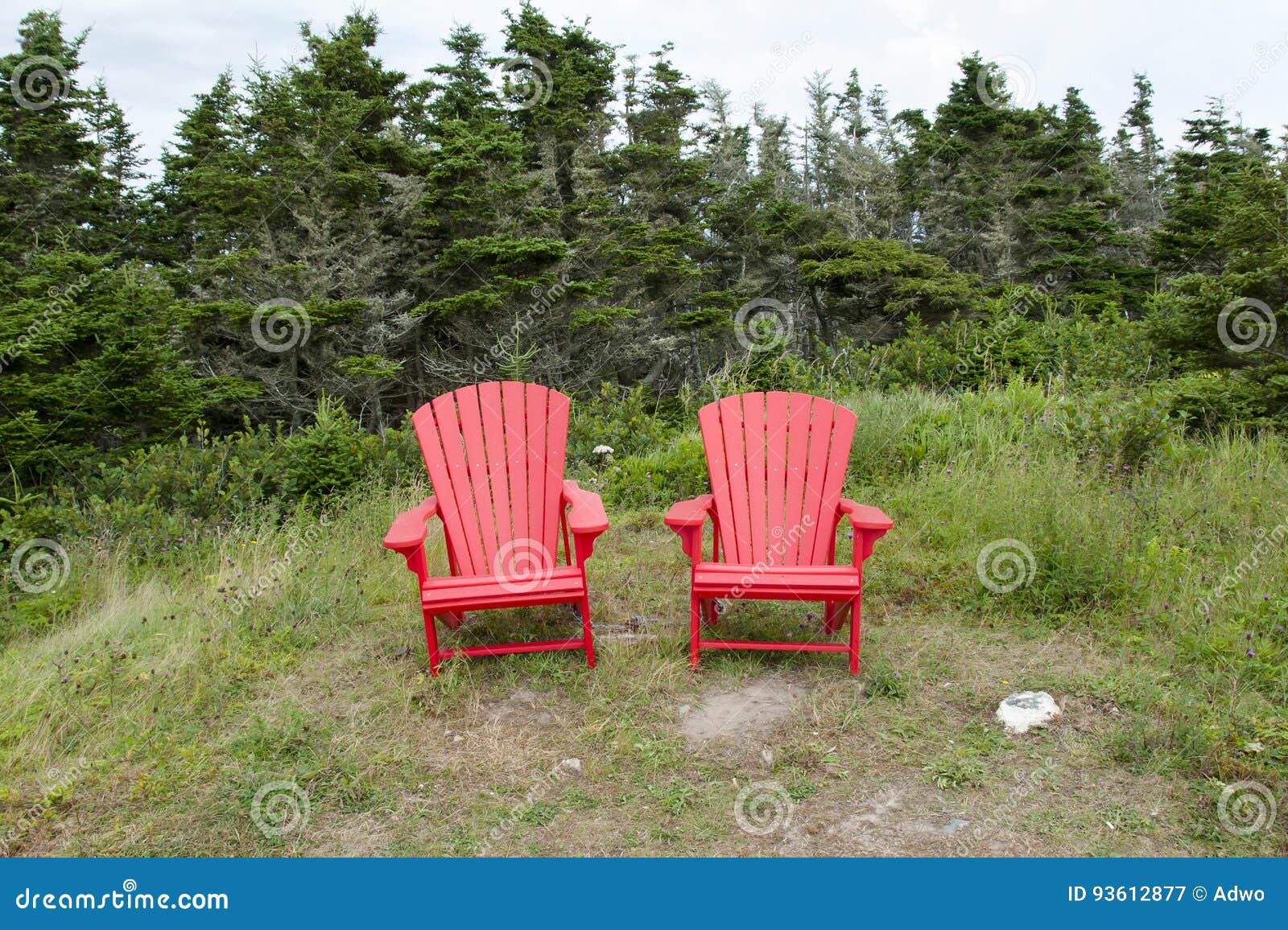 Adirondack Chairs Nova Scotia Canada Stock Image Image of couple