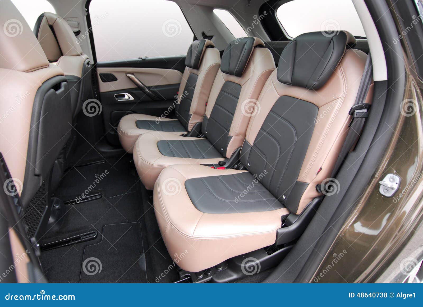 Adjustable Rear Seats in a Luxury Car Stock Photo Image of back