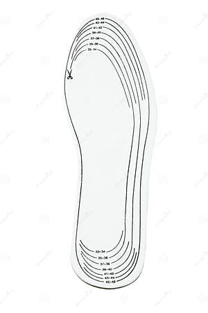Adjustable Size Shoe Insole Stock Image Image Of White Cutout 36327125