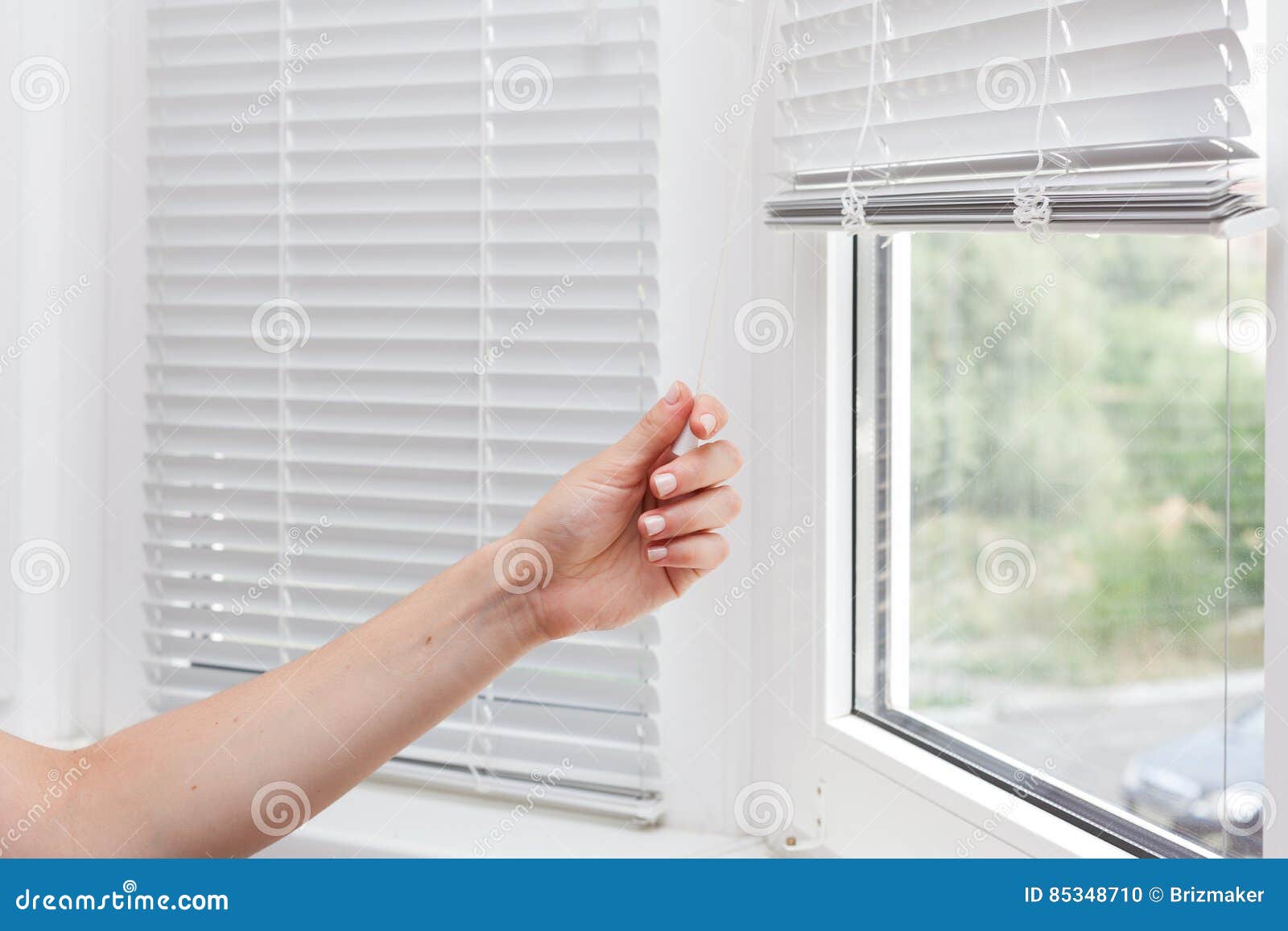 Adjusting the White Blinds in Height Use a Cord. Stock Photo Image of