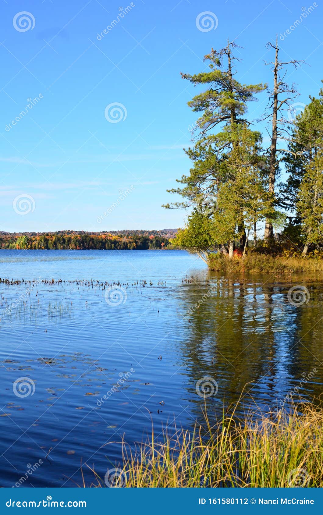 Adirondack Fall Lake Vista Under Blue Sky Stock Photo Image of