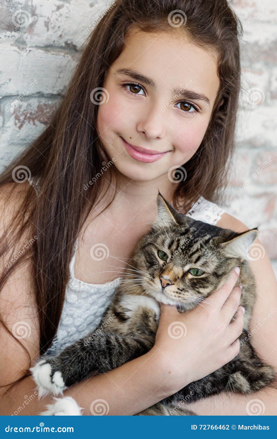 Adolescente Bonito Da Menina 10-11 Anos Que Guardam Um Gato Foto de Stock -  Imagem de longo, povos: 72766462