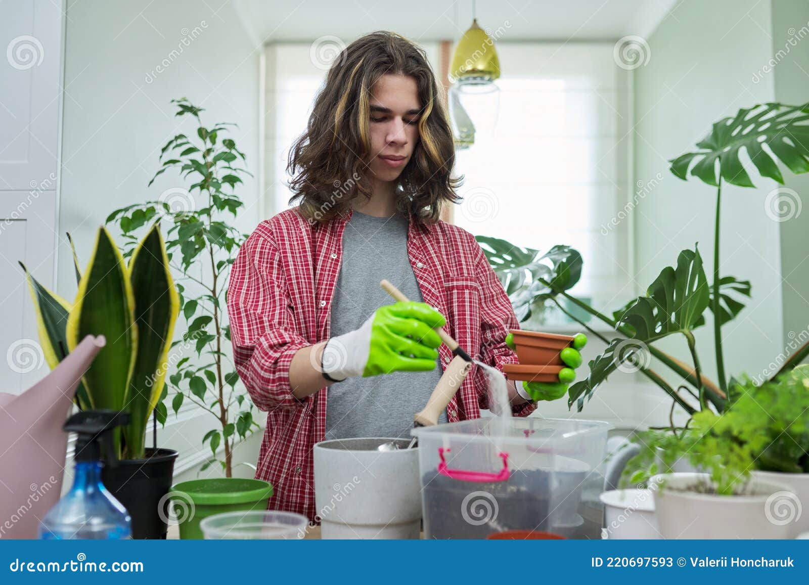 Adolescente Che Trapiantava Piante Domestiche Preparando Il Terreno Con  Perlite Vermiculite Immagine Stock - Immagine di fiore, botanica: 220697593