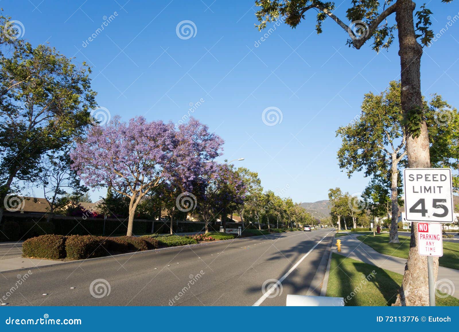 adolfo street, camarillo, ca