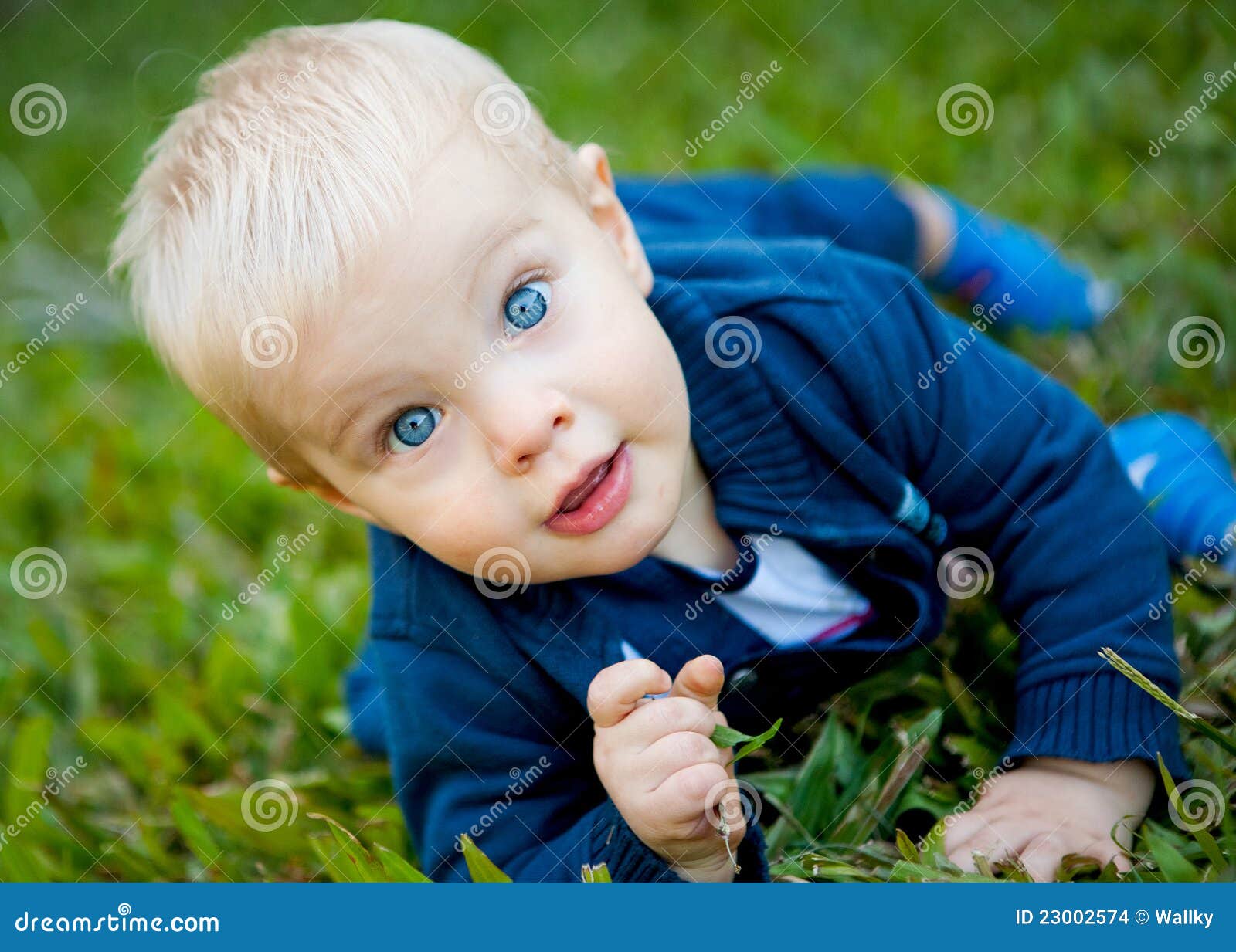 A Adorable Baby Boy on the Green Grass Stock Photo Image of blue
