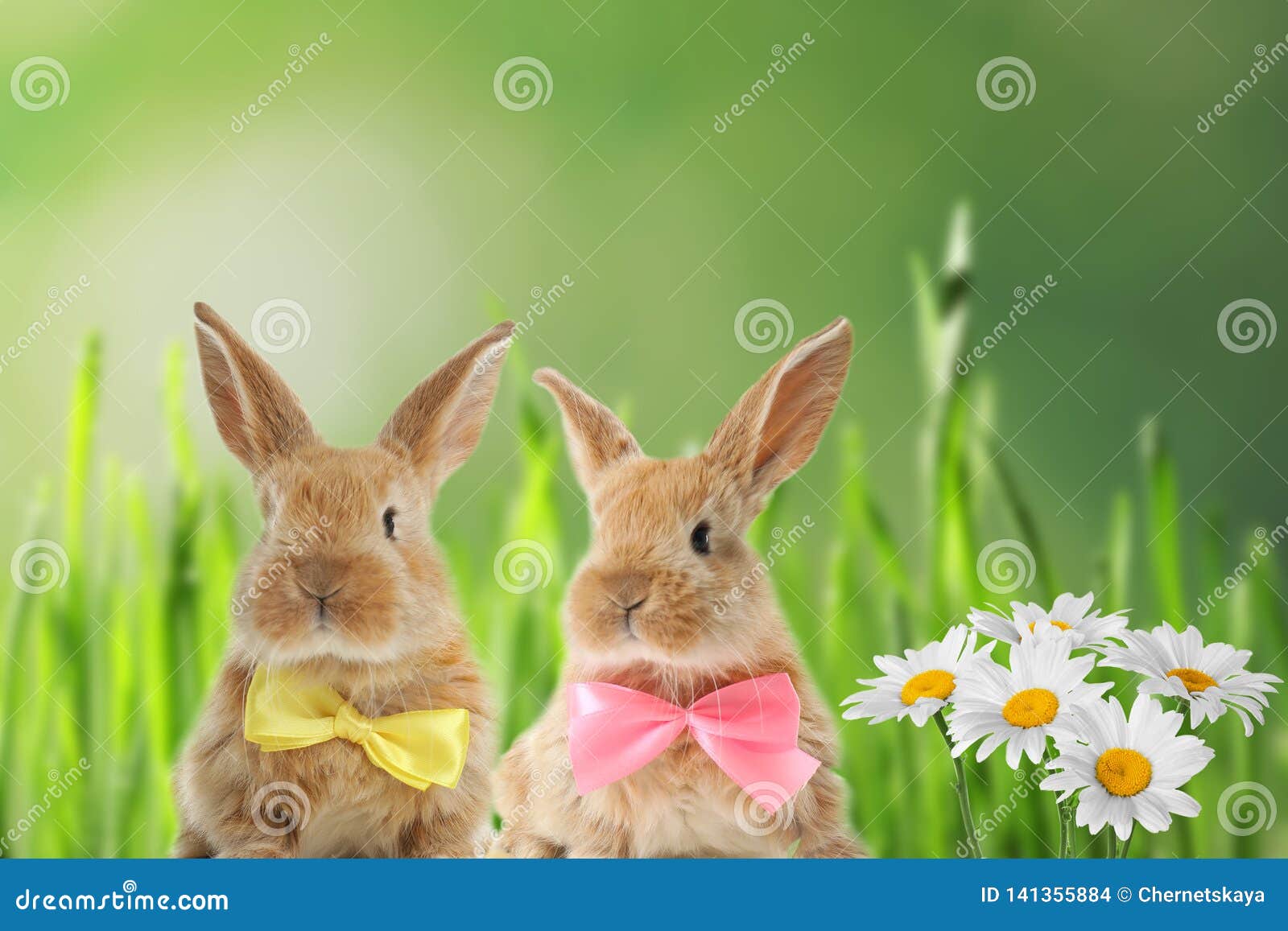 adorable furry easter bunnies with cute bow ties