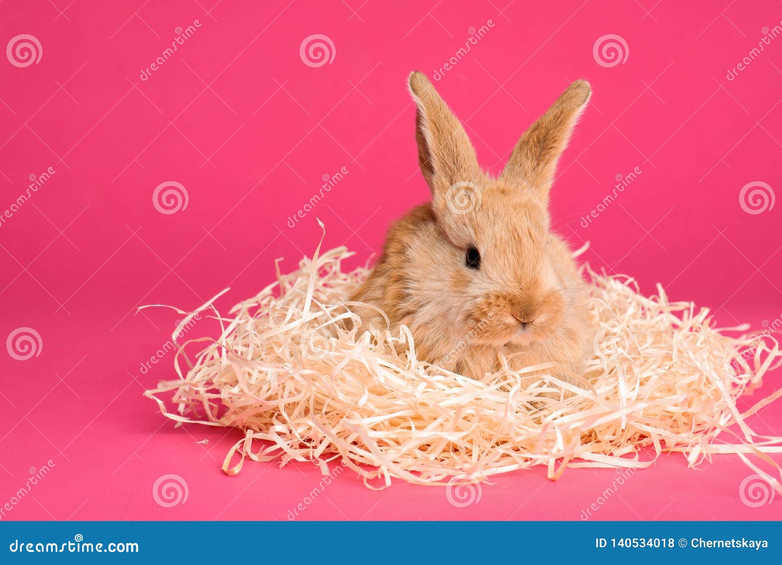 Adorable Furry Easter Bunny with Decorative Straw on Color Background