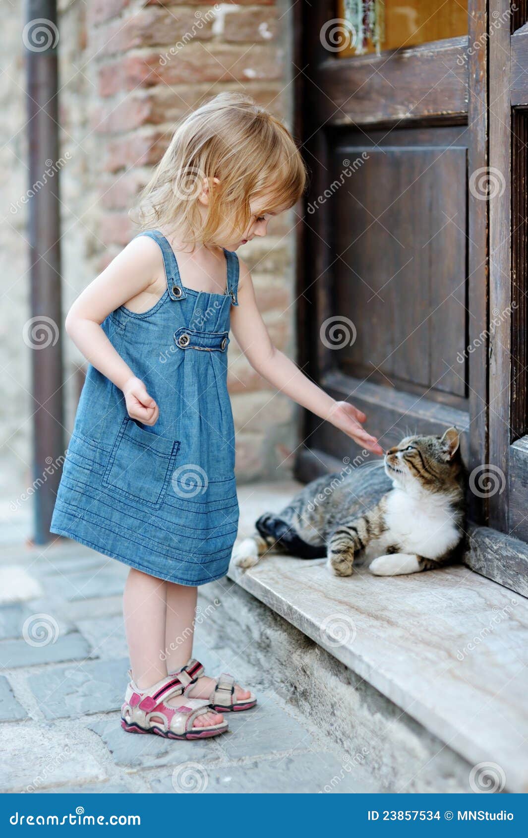 Adorable Happy Little Girl And A Cat Stock Photo Image 