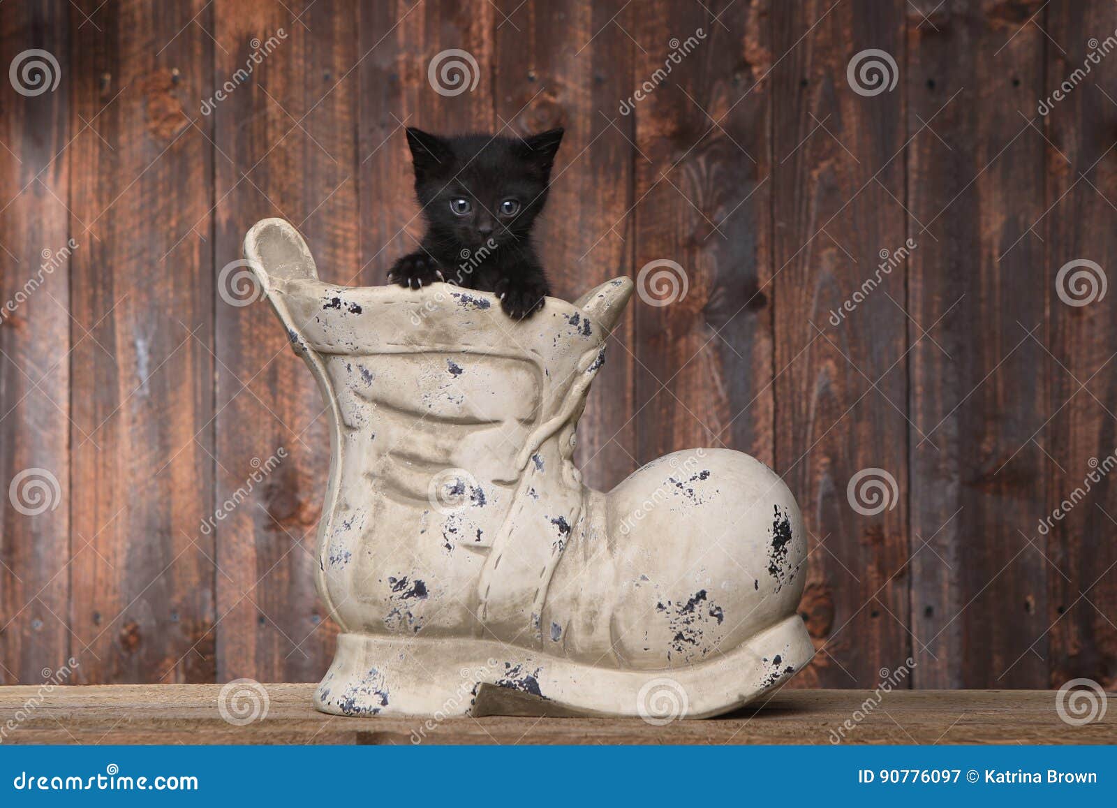 Adorable Kitten in an Old Boot Shoe on Wood Background Stock Image Image of sweet, humorous