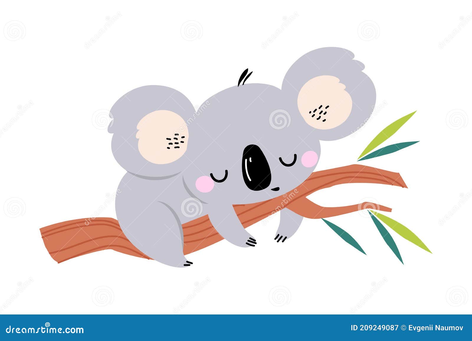 Adorable Koala Sleeping on Tree Branch, Lovely Australian Animal Cartoon  Character Vector Illustration Stock Vector - Illustration of nature,  animal: 209249087