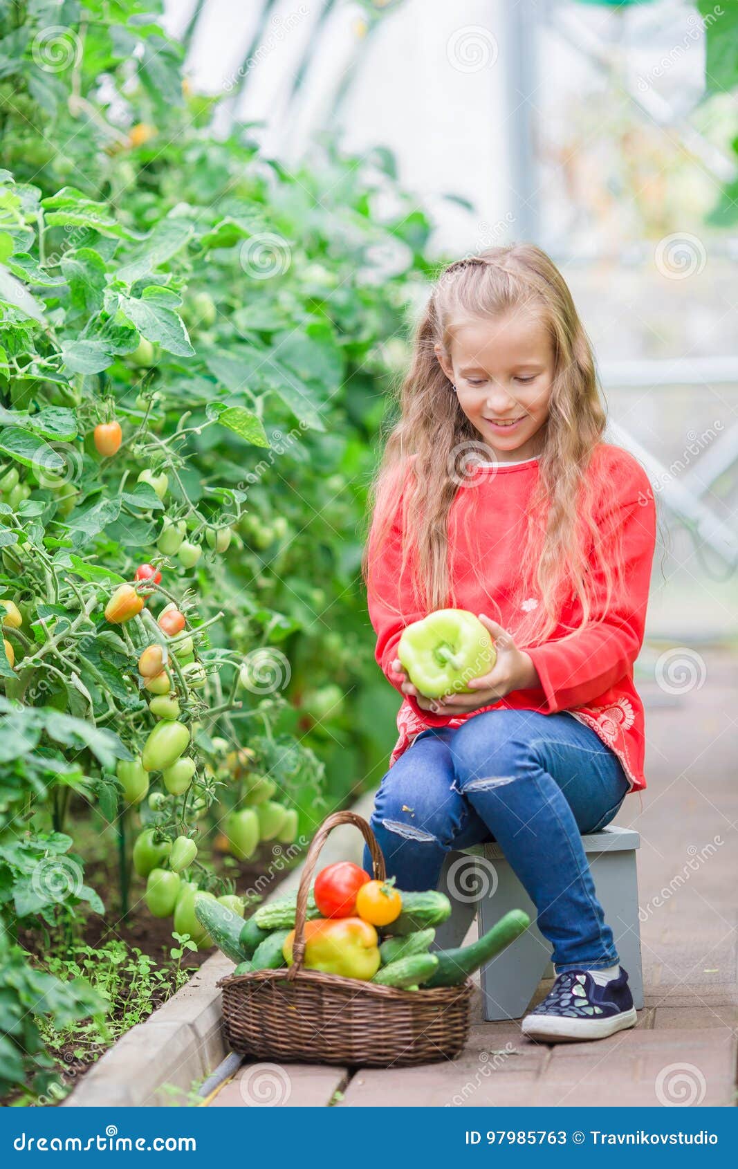 Adorable Little Girl Harvesting Cucumbers and Tomatoes in Greenhouse ...