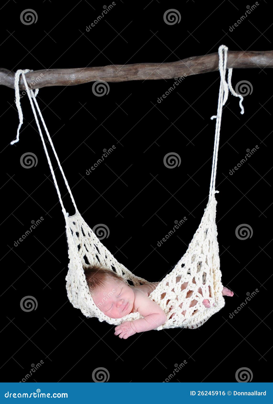 Adorable Newborn Suspended in Hammock Stock Photo Image of child