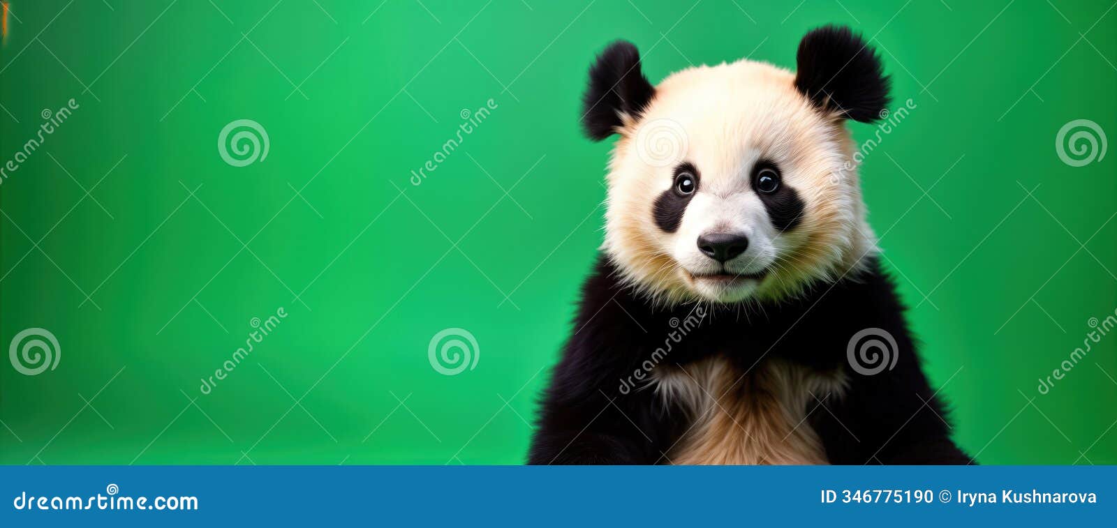 adorable panda with curious expression. panda looks puzzled against lively green background. cute creature features tilt of head.