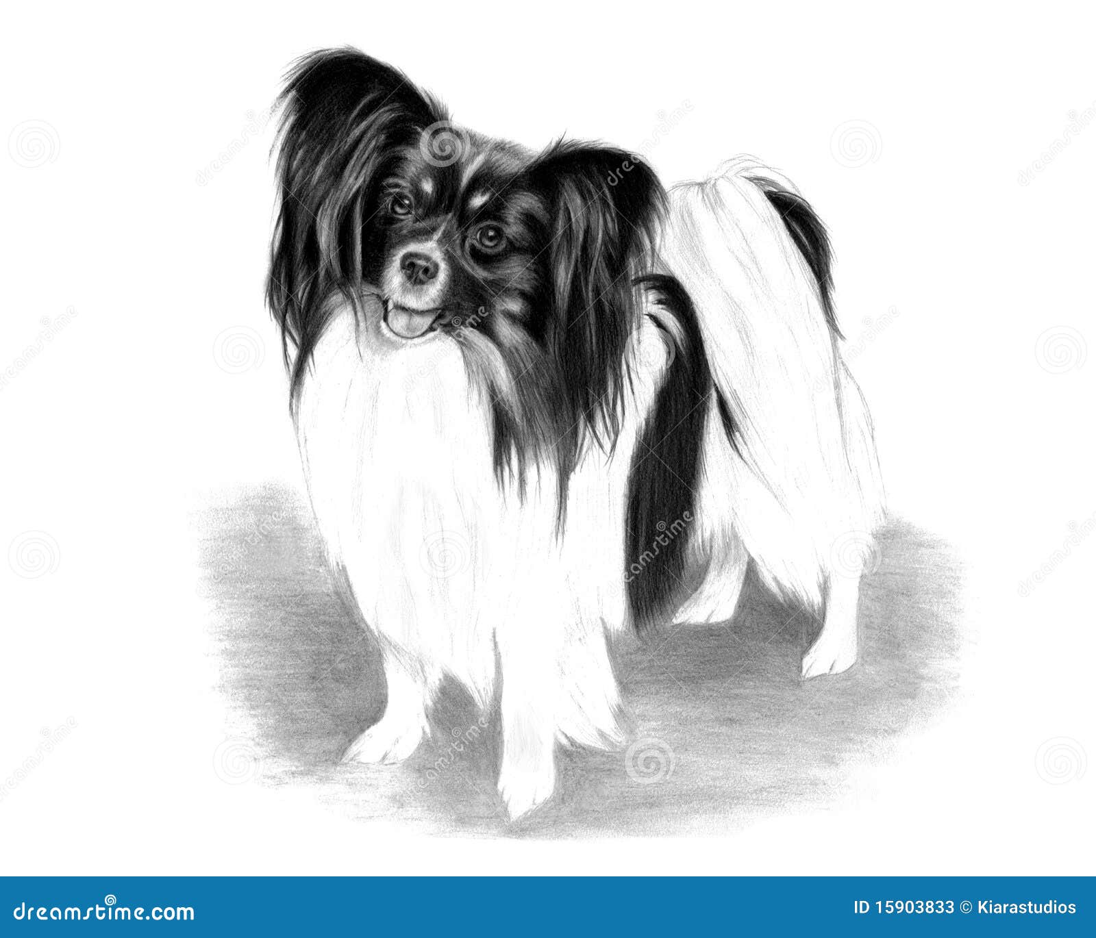 Commercial surround Electrician Adorable Papillon Dog Drawing Stock Illustration - Illustration of cute,  panting: 15903833