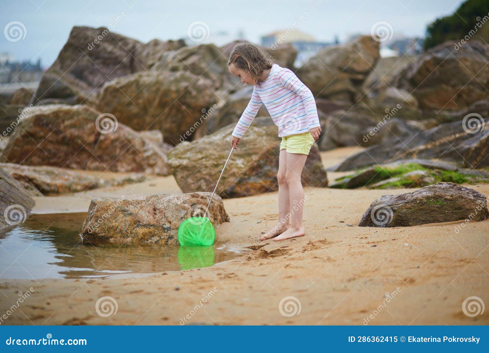adorable preshooler girl playing with scoop net on the beach at atlantic coast of brittany, france