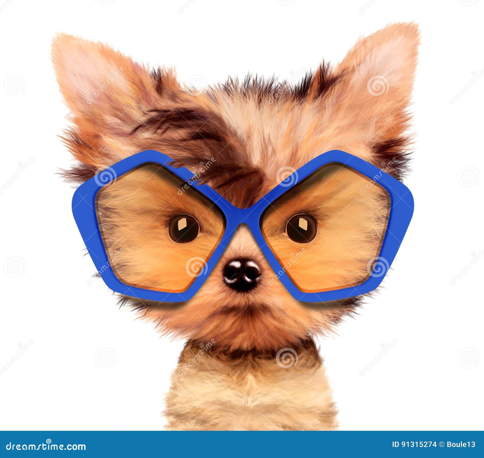 Adorable Puppy with Sunglasses, Isolated on White. Stock Photo - Image