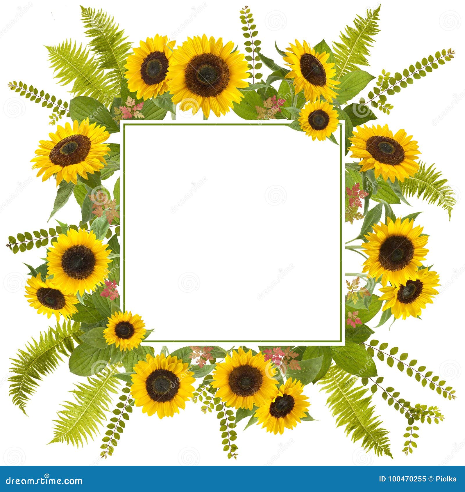 Adorable Sunflower Background with Fern and Leaves Stock ...