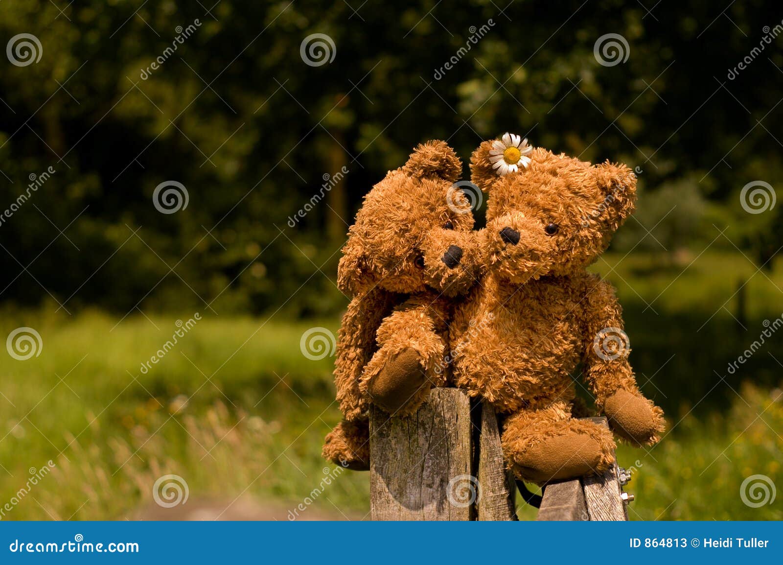 314 Teddybear Couple Stock Photos - Free & Royalty-Free Stock Photos from Dreamstime 314 Teddybear Couple Stock Photos - Free & Royalty-Free Stock Photos from Dreamstime