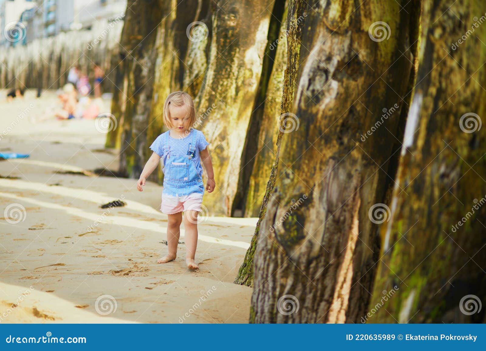 adorable toddler girl having fun on sillon beach in saint-malo, brittany, france