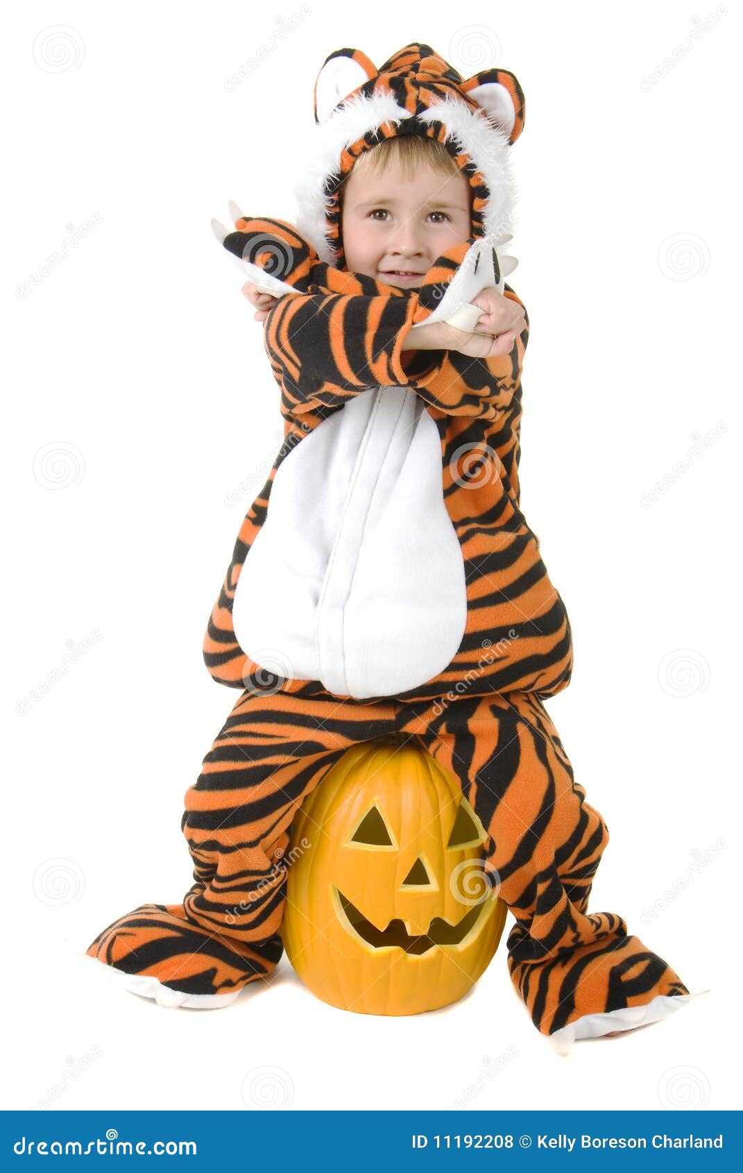 Adorable Toddler in Tiger Costume Stock Photo Image of funny, festival 11192208