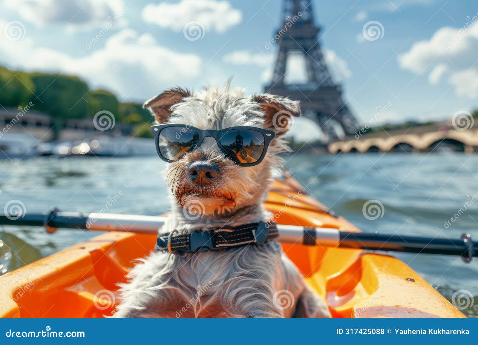 adorable weinerman dog kayaking with eiffel tower view