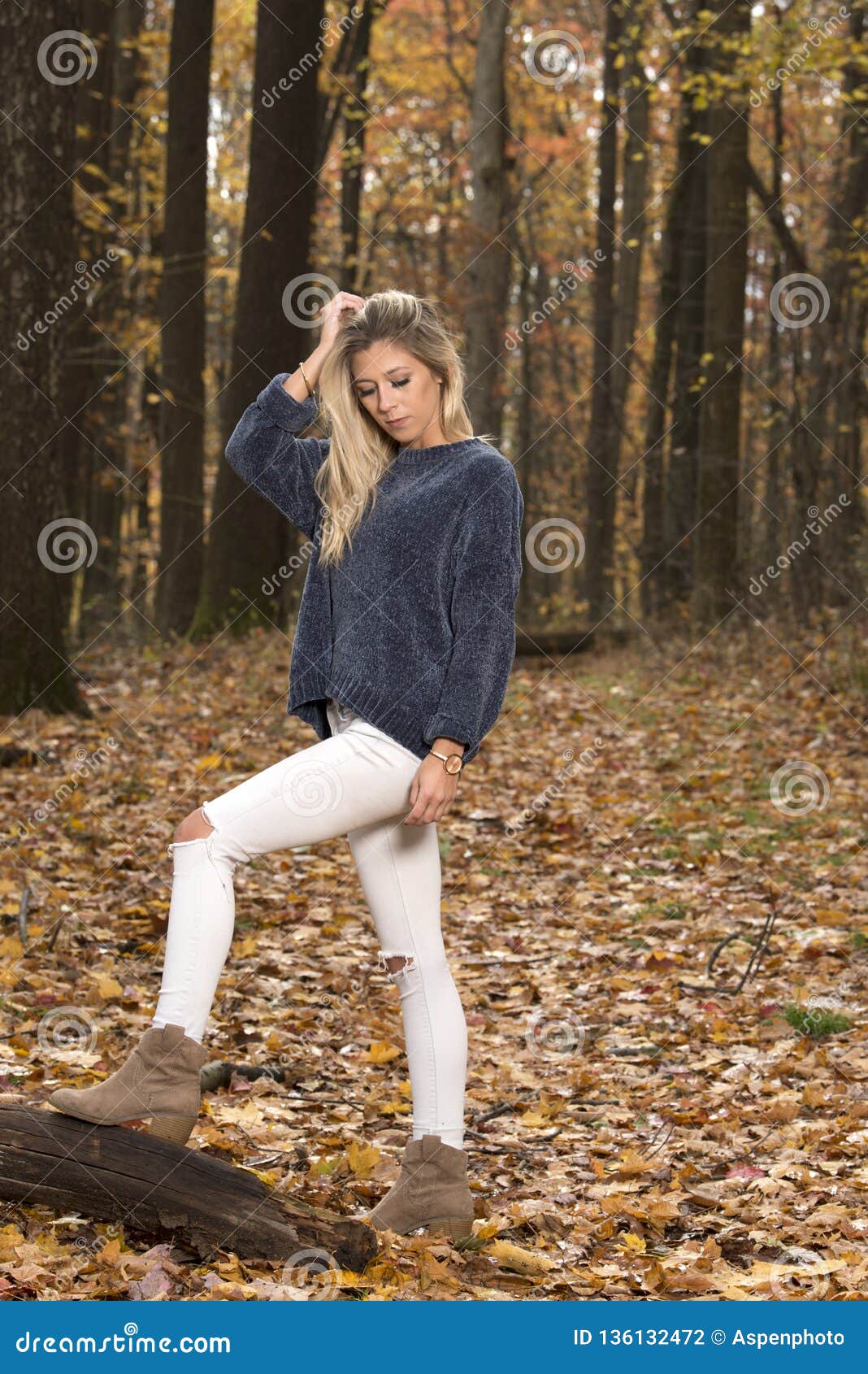 Beautiful Blonde Woman Poses in Blue Sweater in Autumn Woods Stock ...