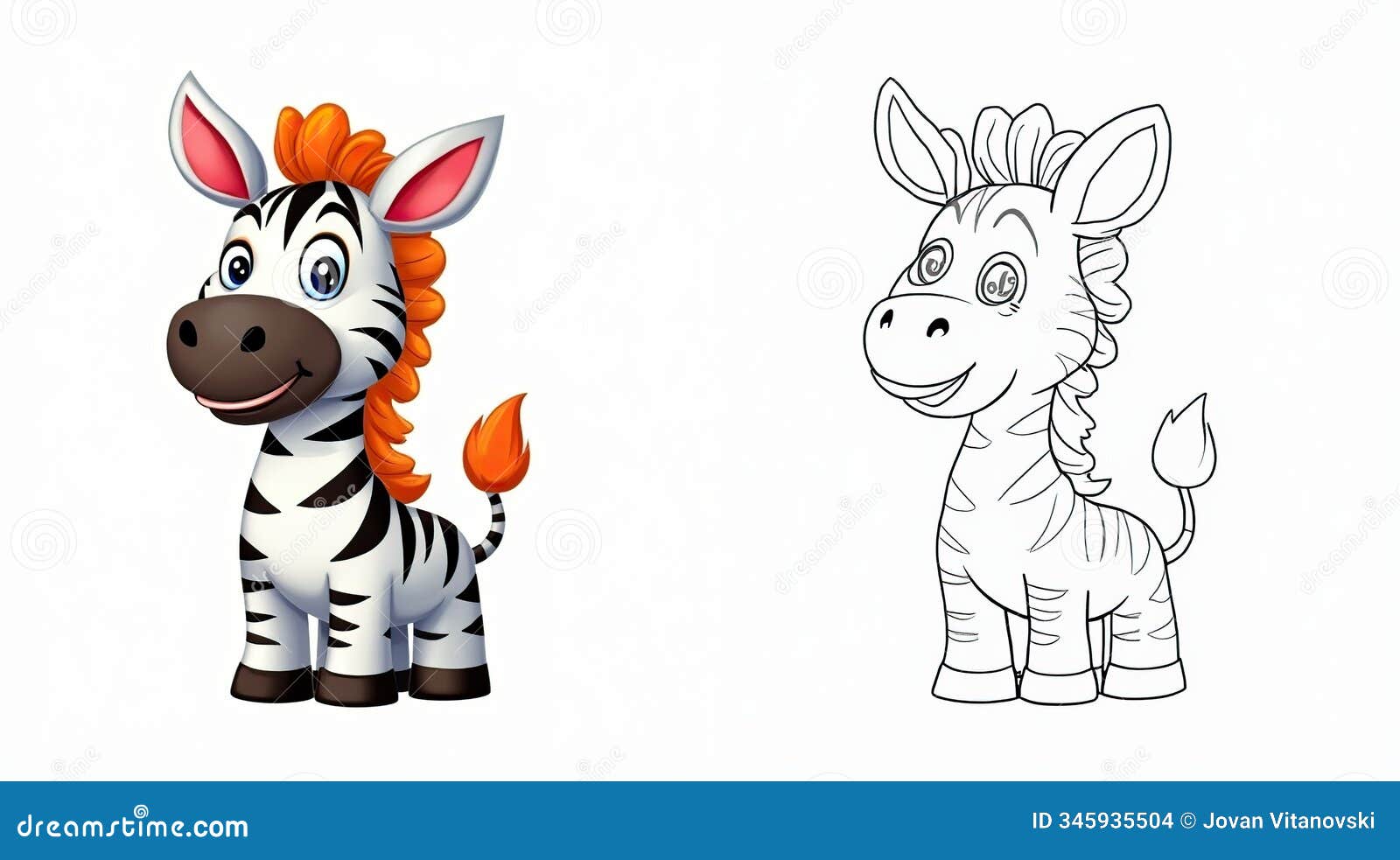 adorable zebra cartoon character in color and outline versions