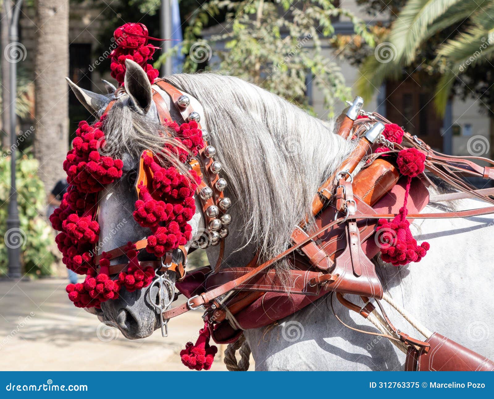 adornos en la cabeza del caballo de carruaje