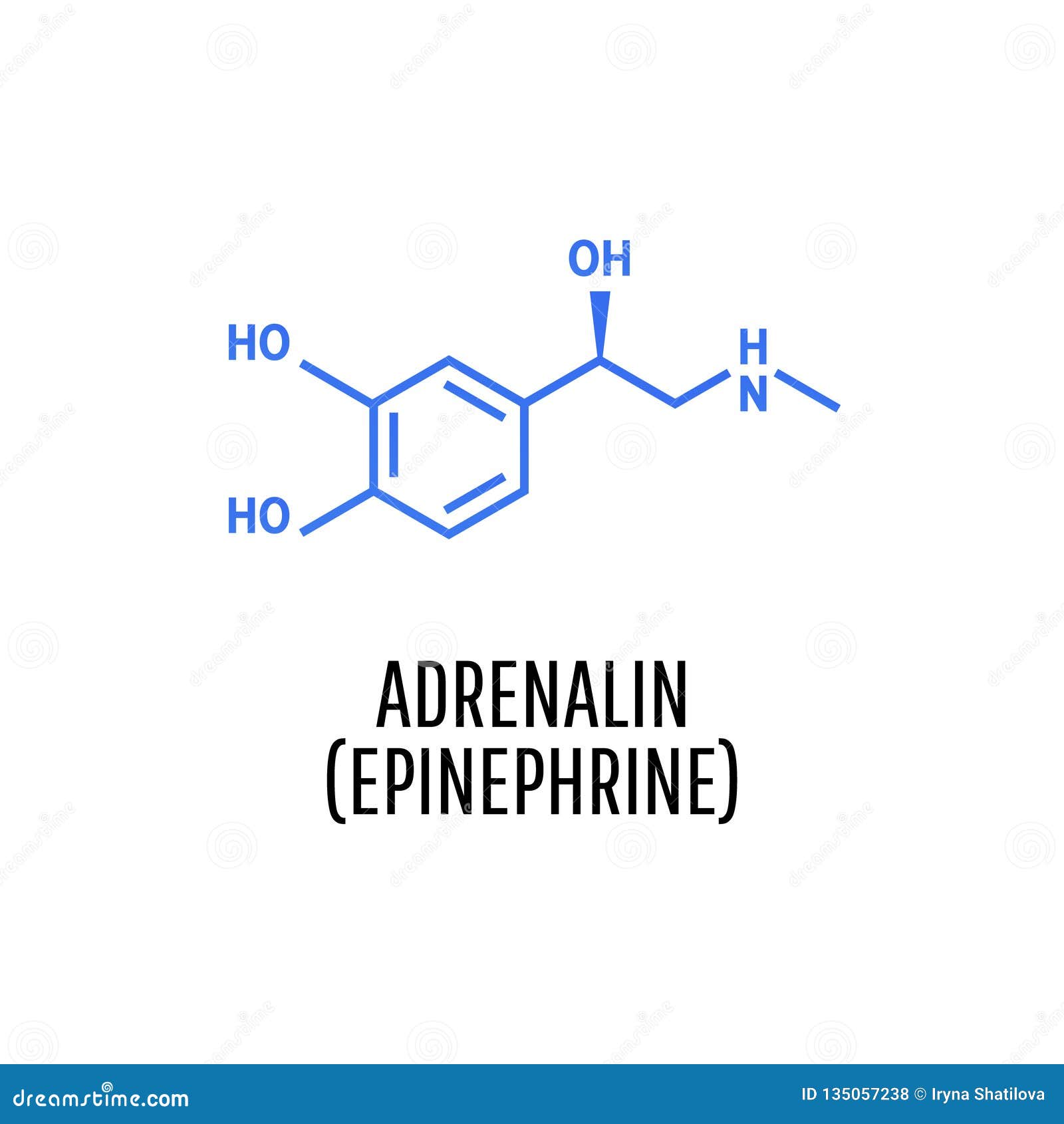 hormones the adrenal gland produces hormones the adrenal gland produces