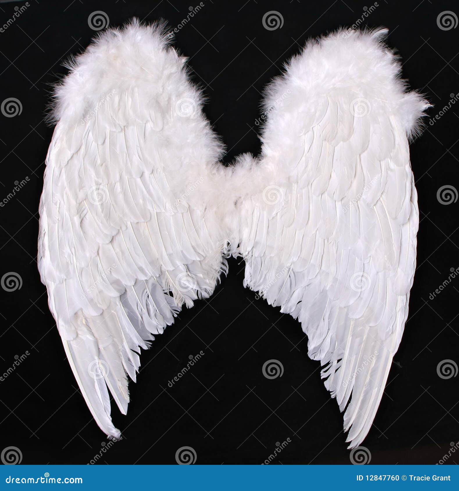adult angel wings photography prop