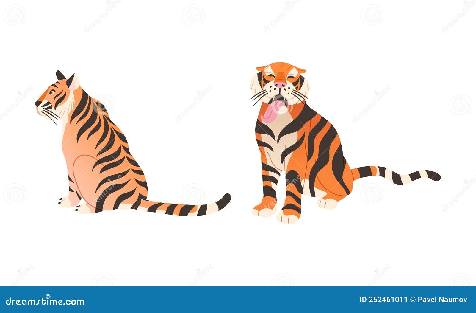 adult big tiger with striped orange fur as largest living cat species  set