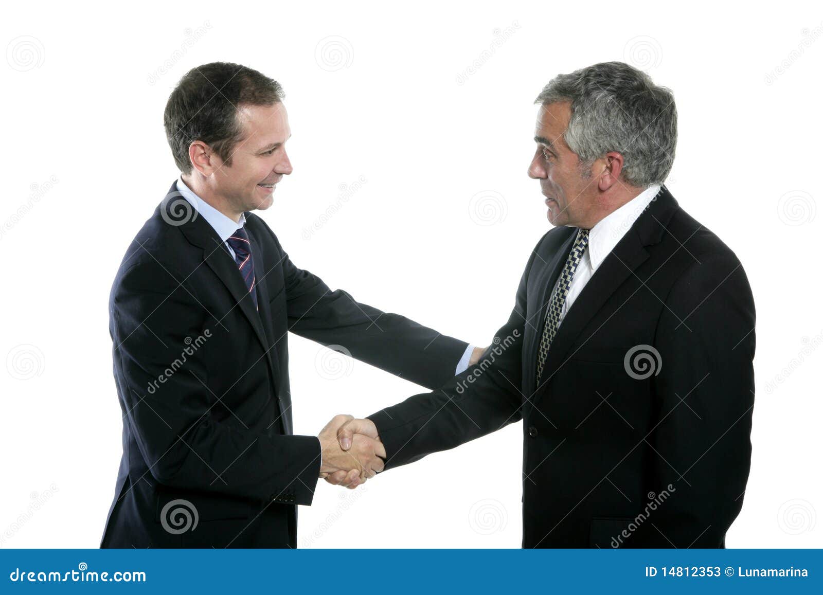 adult businessman handshake expertise portrait