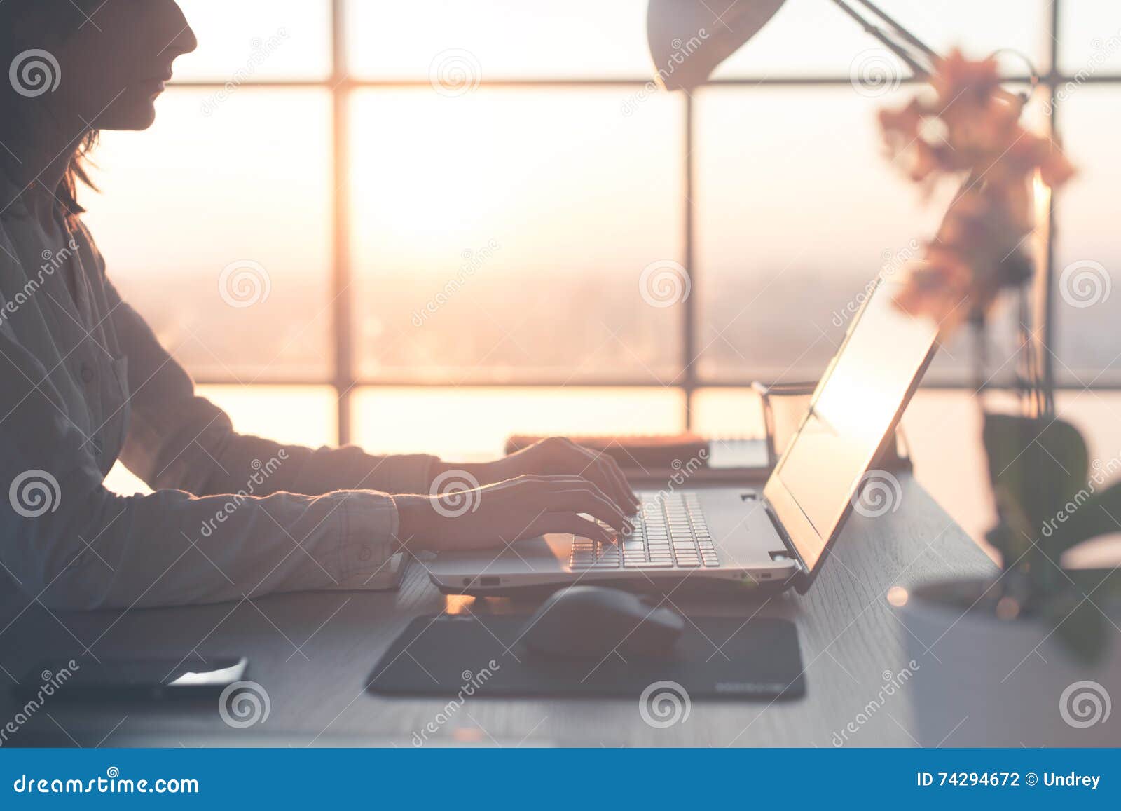 adult businesswoman working at home using computer, studying business ideas on a pc screen