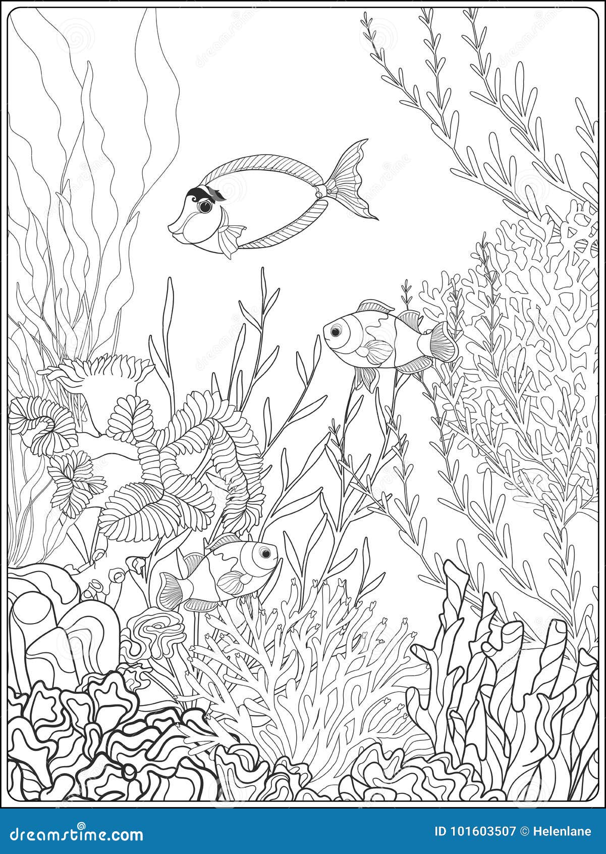 Coloring Pages Coral Reefs