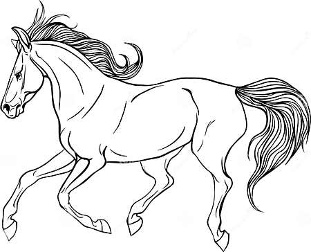 Adult coloring page horse. stock vector. Illustration of line - 90747525