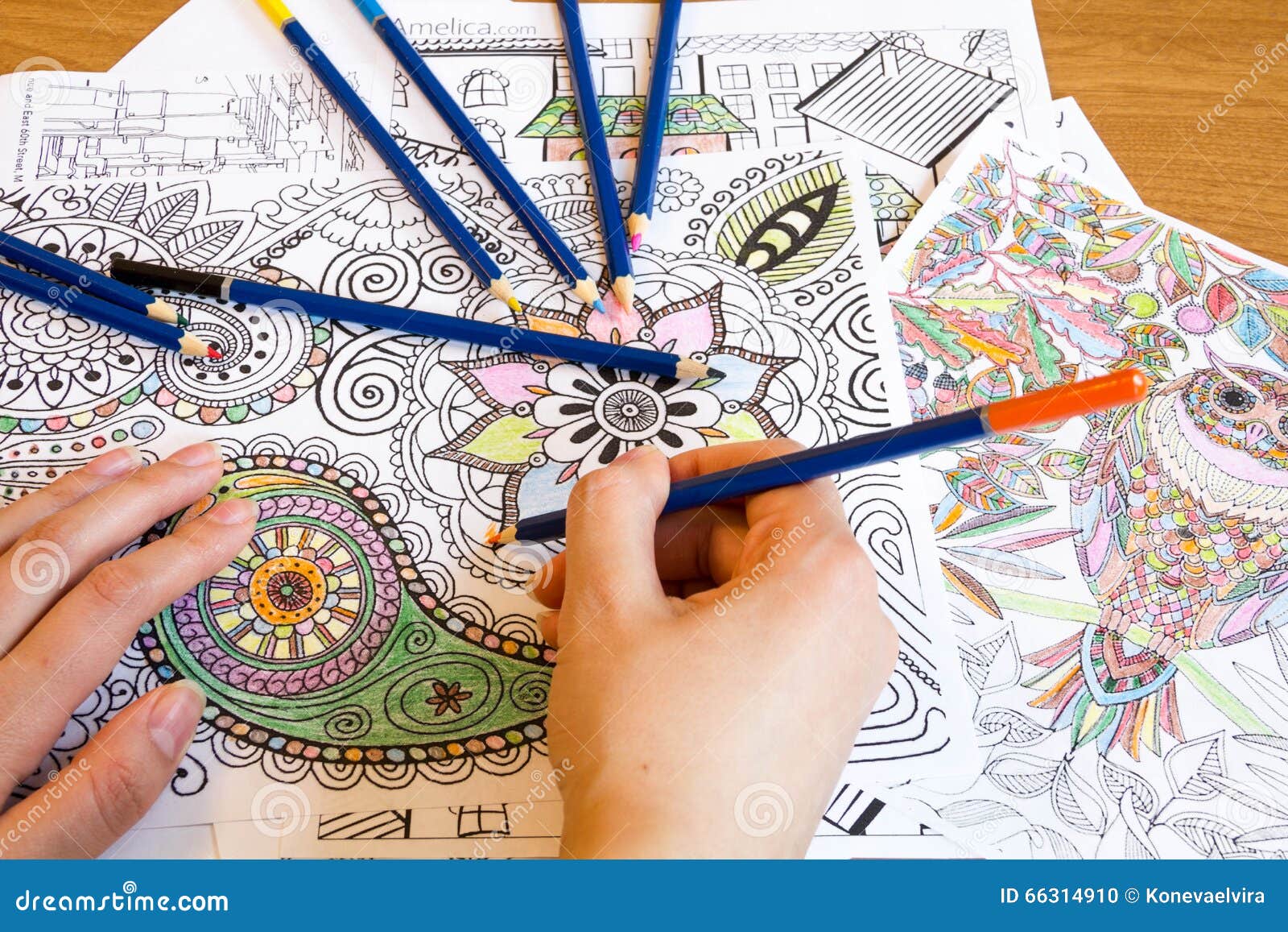 332+ Thousand Coloring Book Adult Royalty-Free Images, Stock Photos &  Pictures