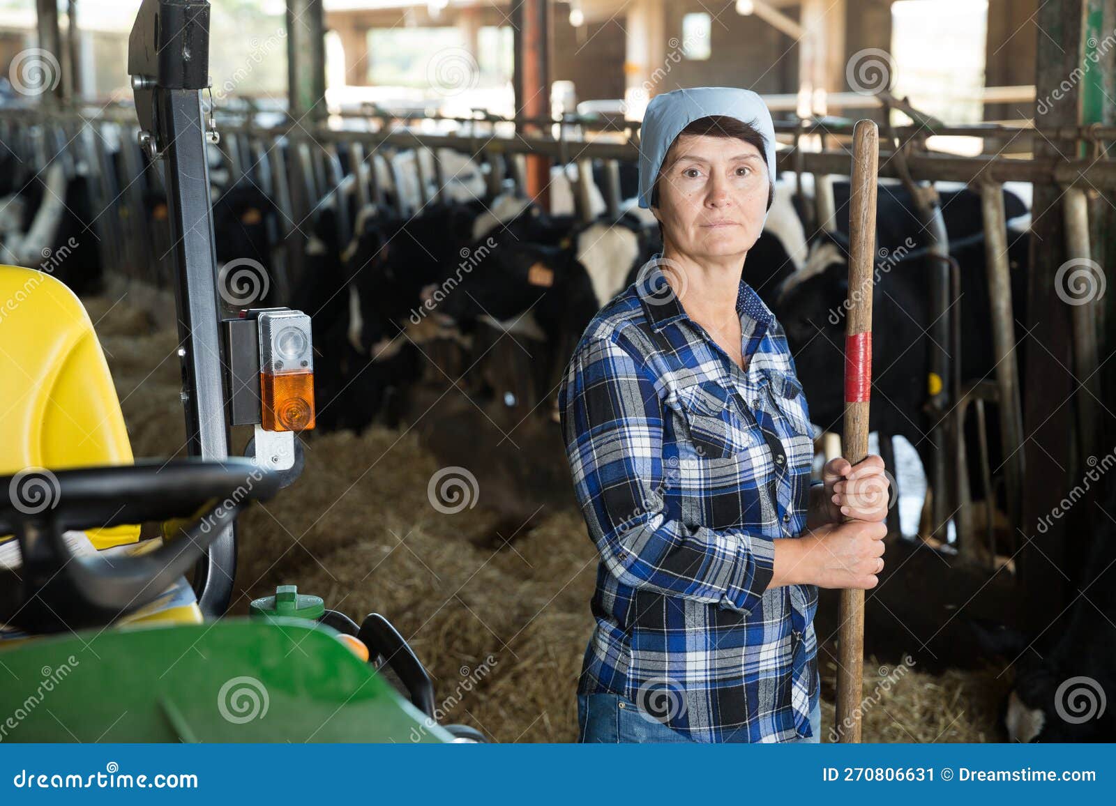 Adult Female is Standing at Her Workplace Near Cows Stock Image Image