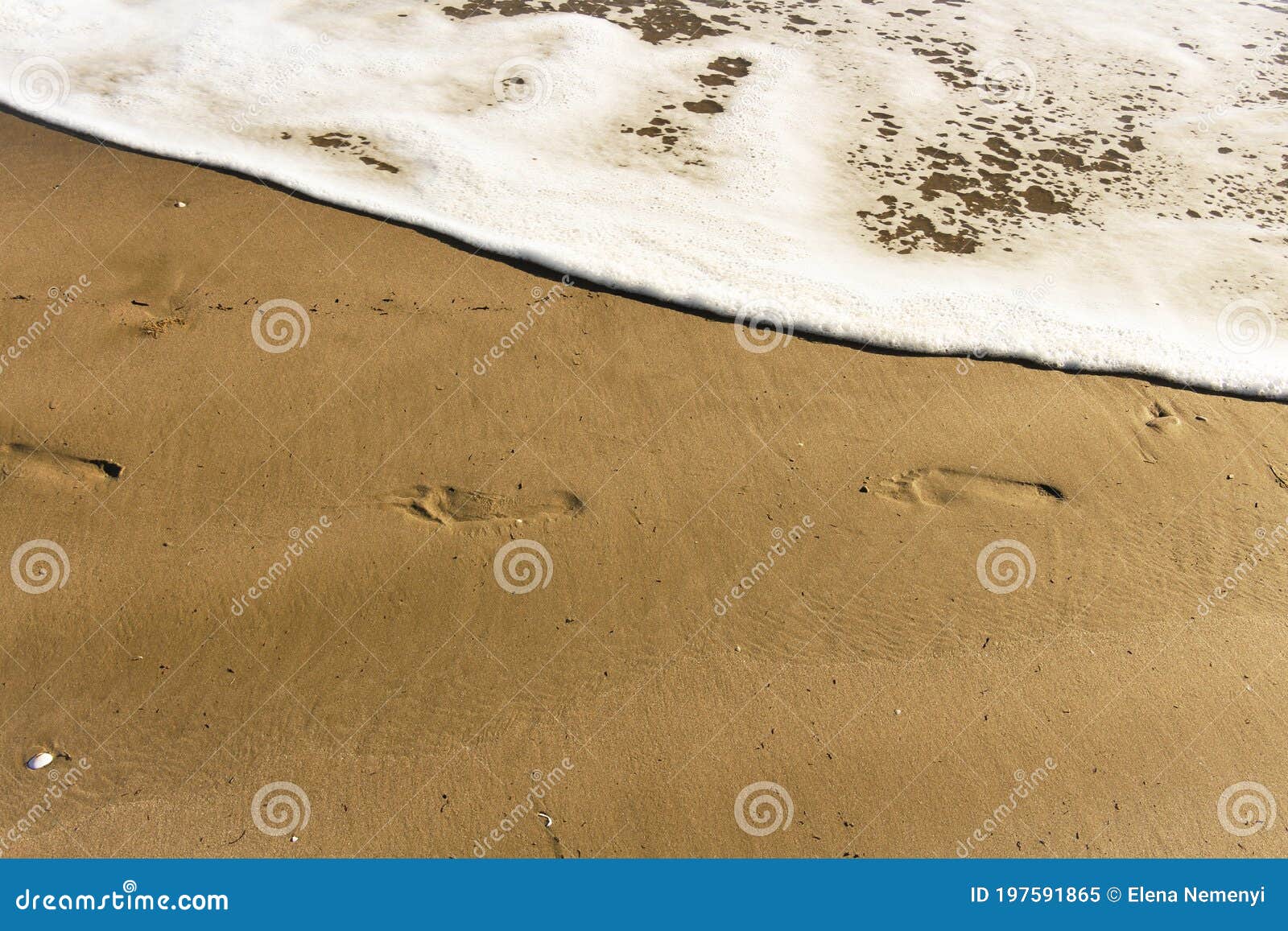adult foot prints by the ocean shore