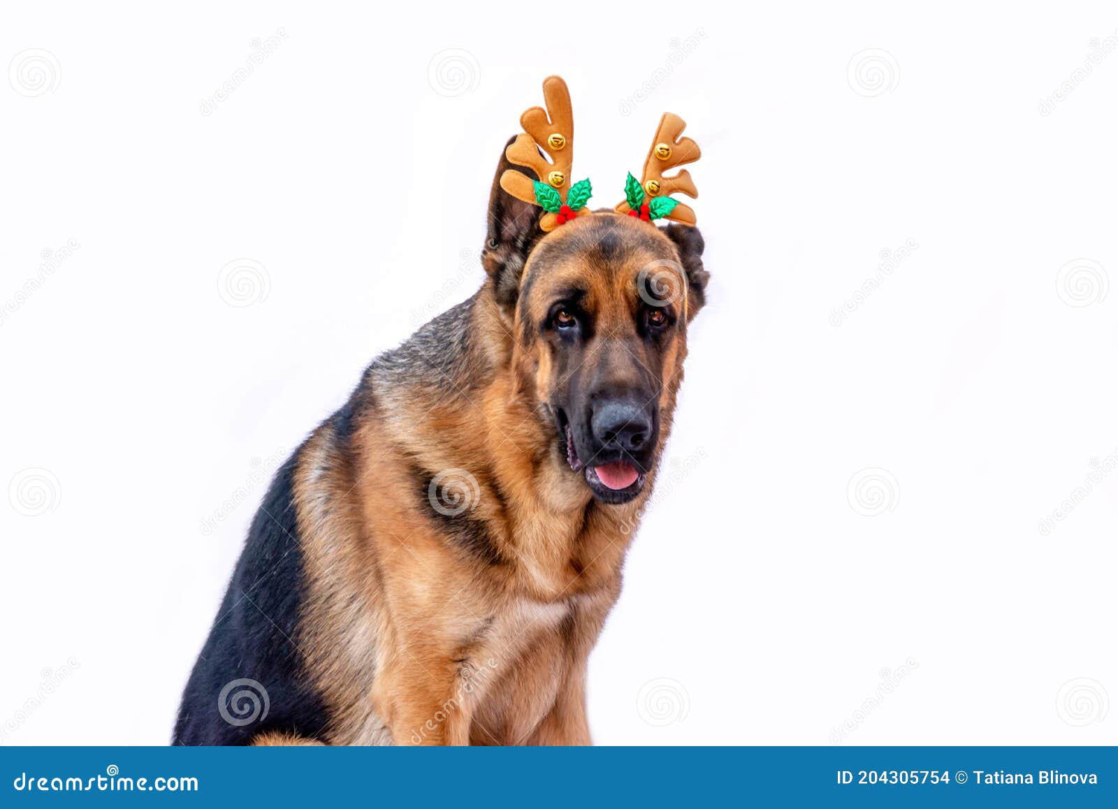 German shepherd hotsell christmas outfit