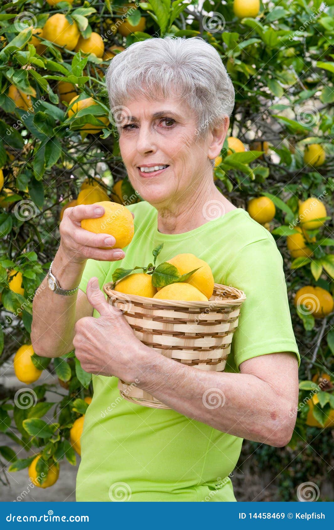 Adult Lemons 88