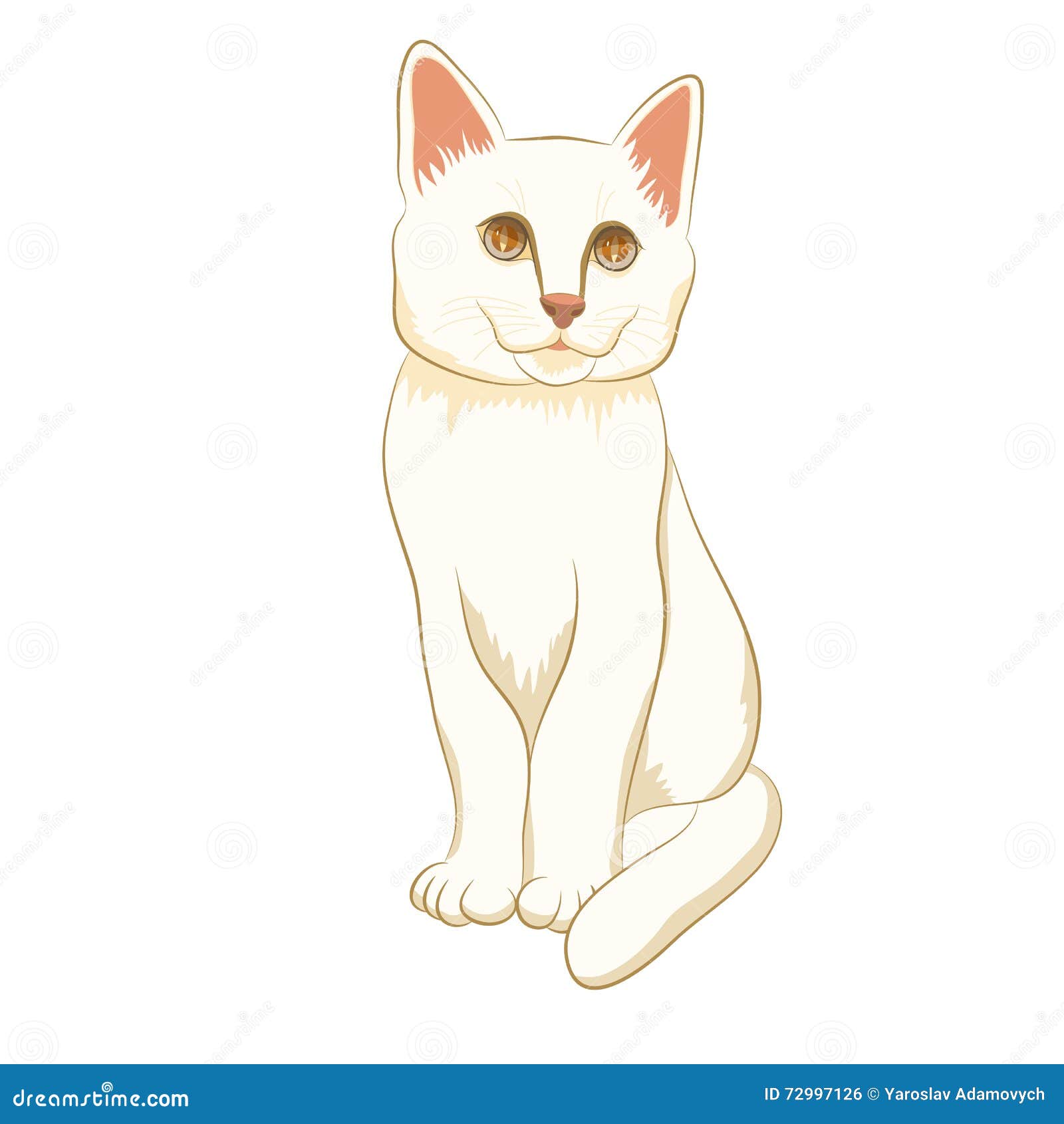 Adult White Cat  Sitting  Realistic  Stock Vector Image 