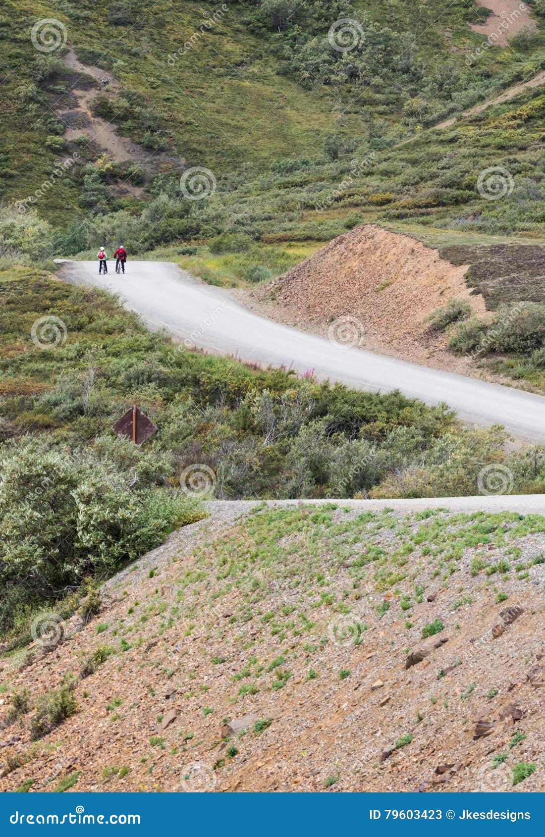 adventure cycling in the yukon