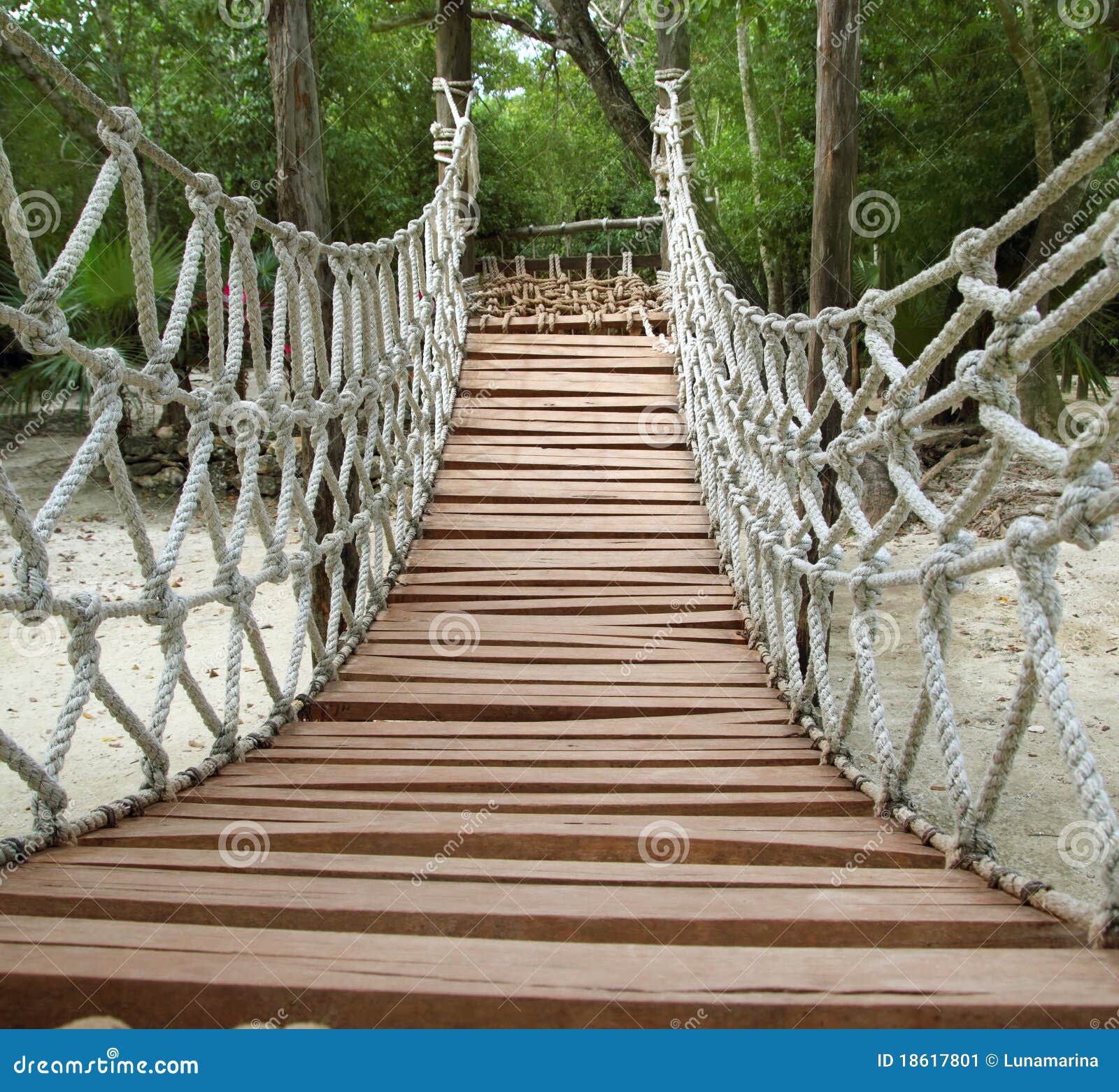 adventure wooden rope jungle suspension bridge