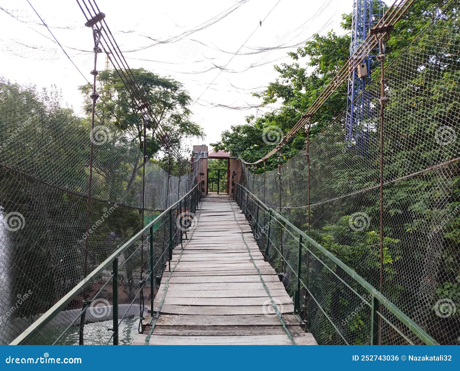 https://thumbs.dreamstime.com/z/adventurous-wooden-bridge-net-along-sides-green-trees-amazing-view-wooden-scary-bridge-tourists-adventurous-252743036.jpg
