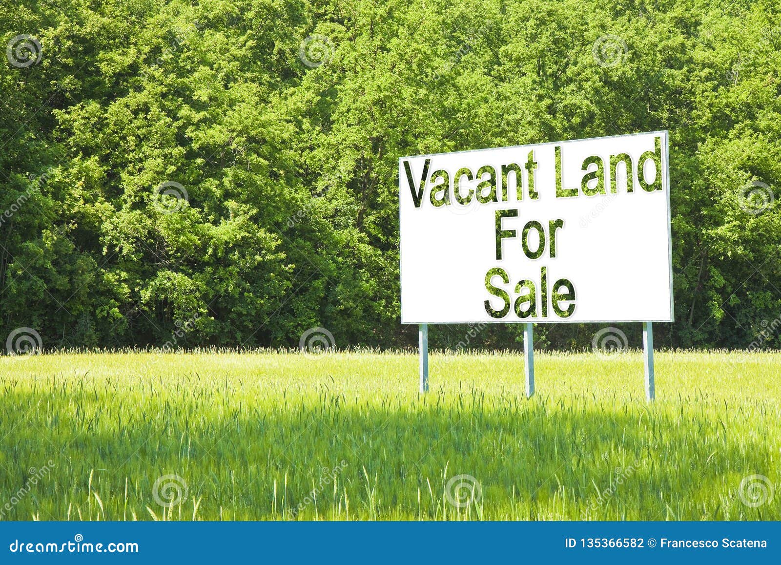 advertising billboard immersed in a rural scene with vacant land for sale written on it - image with copy space