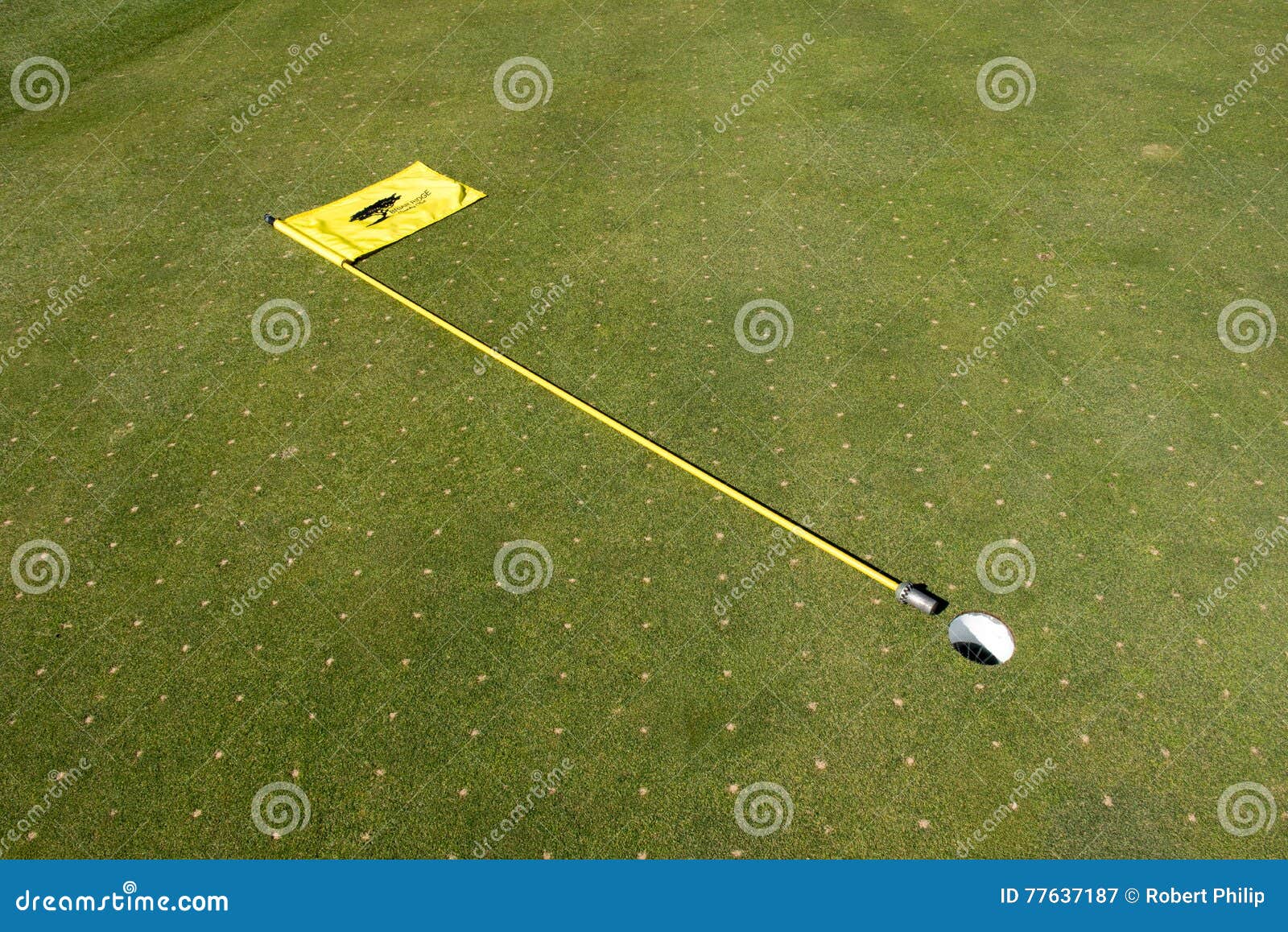 Aerated Golf Green with Flag Pulled Stock Image Image of golf, pulled