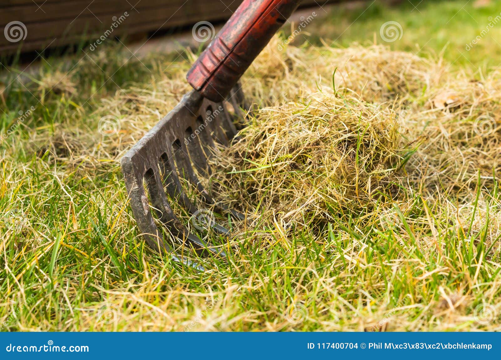 Moss rake for sale lawn